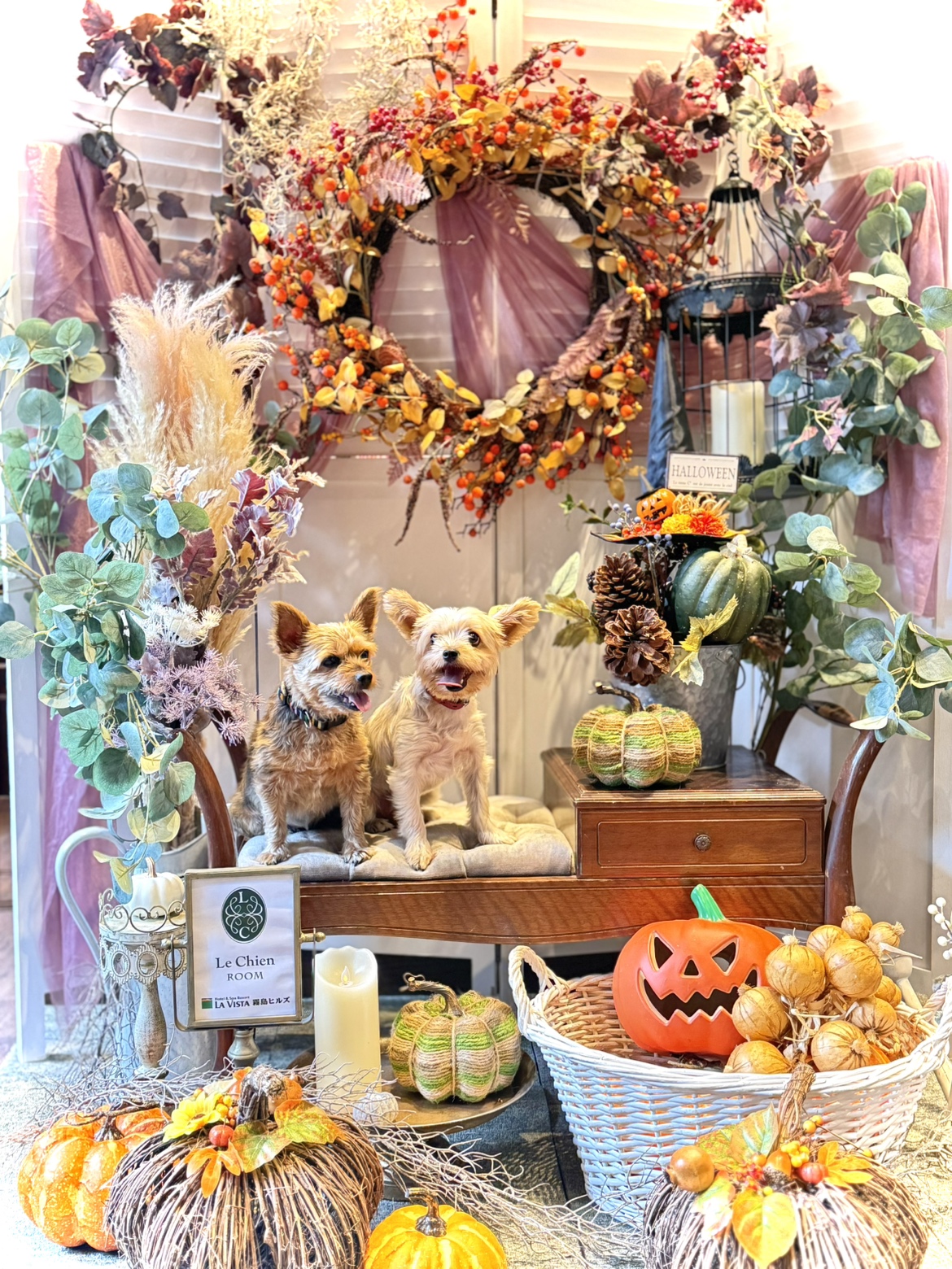 ルシアン専用フォトブース