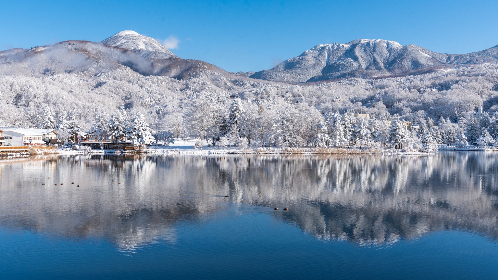 【周辺】雪景色の美しい蓼科湖と蓼科山。