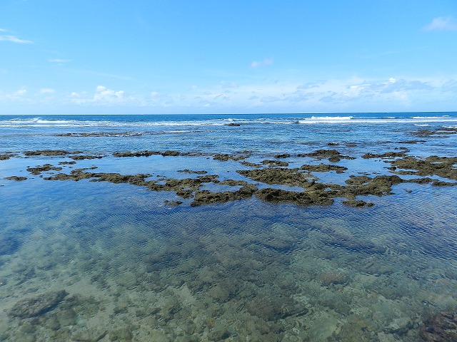 Miyagi coast1