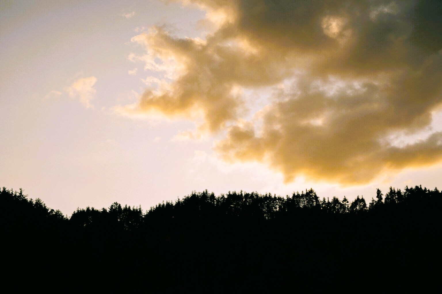 【素泊まり】静かな山あいで気ままに過ごす田舎の宿＜食事なし＞