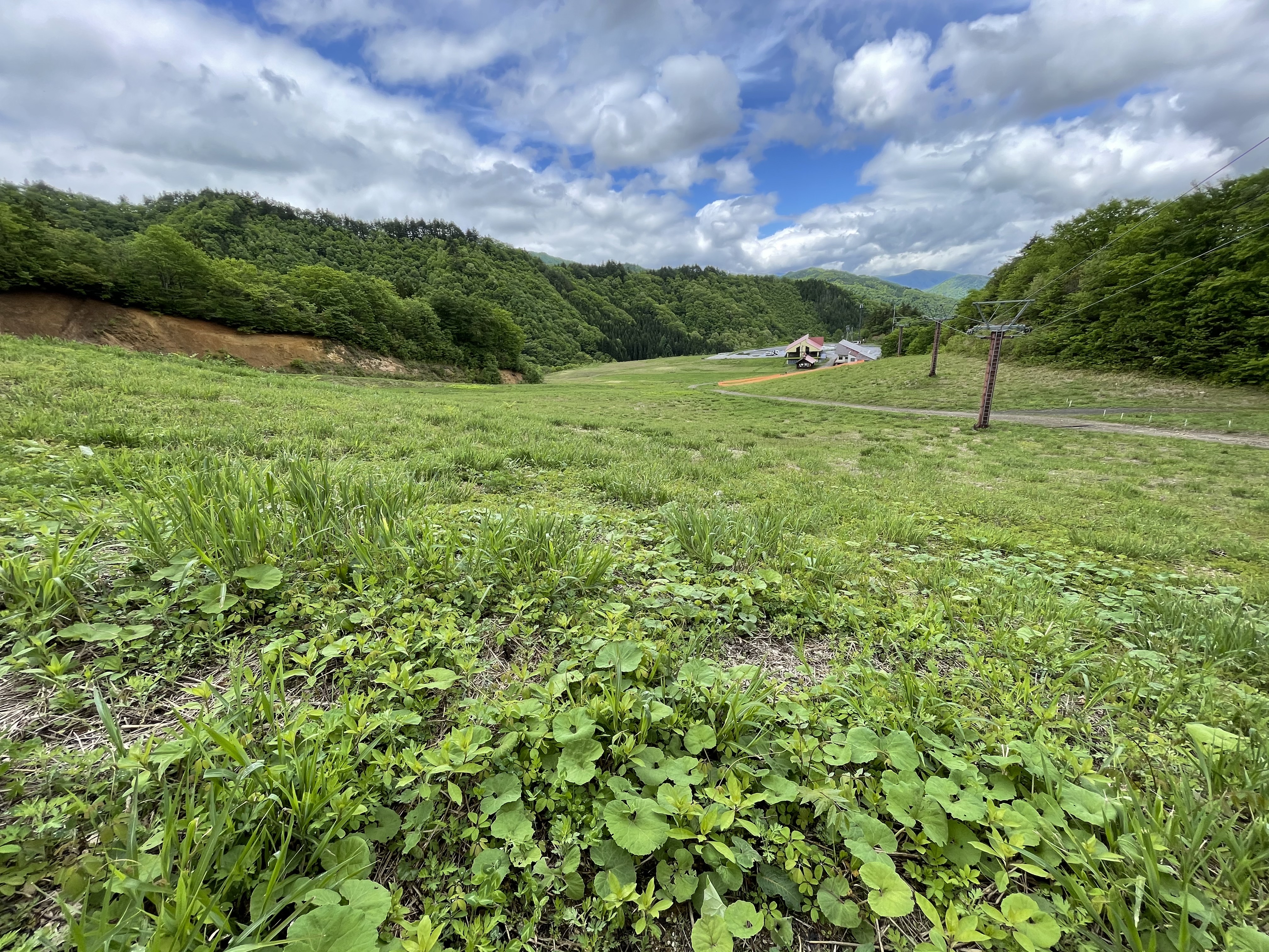 近隣：NOASOBIキャンプ場