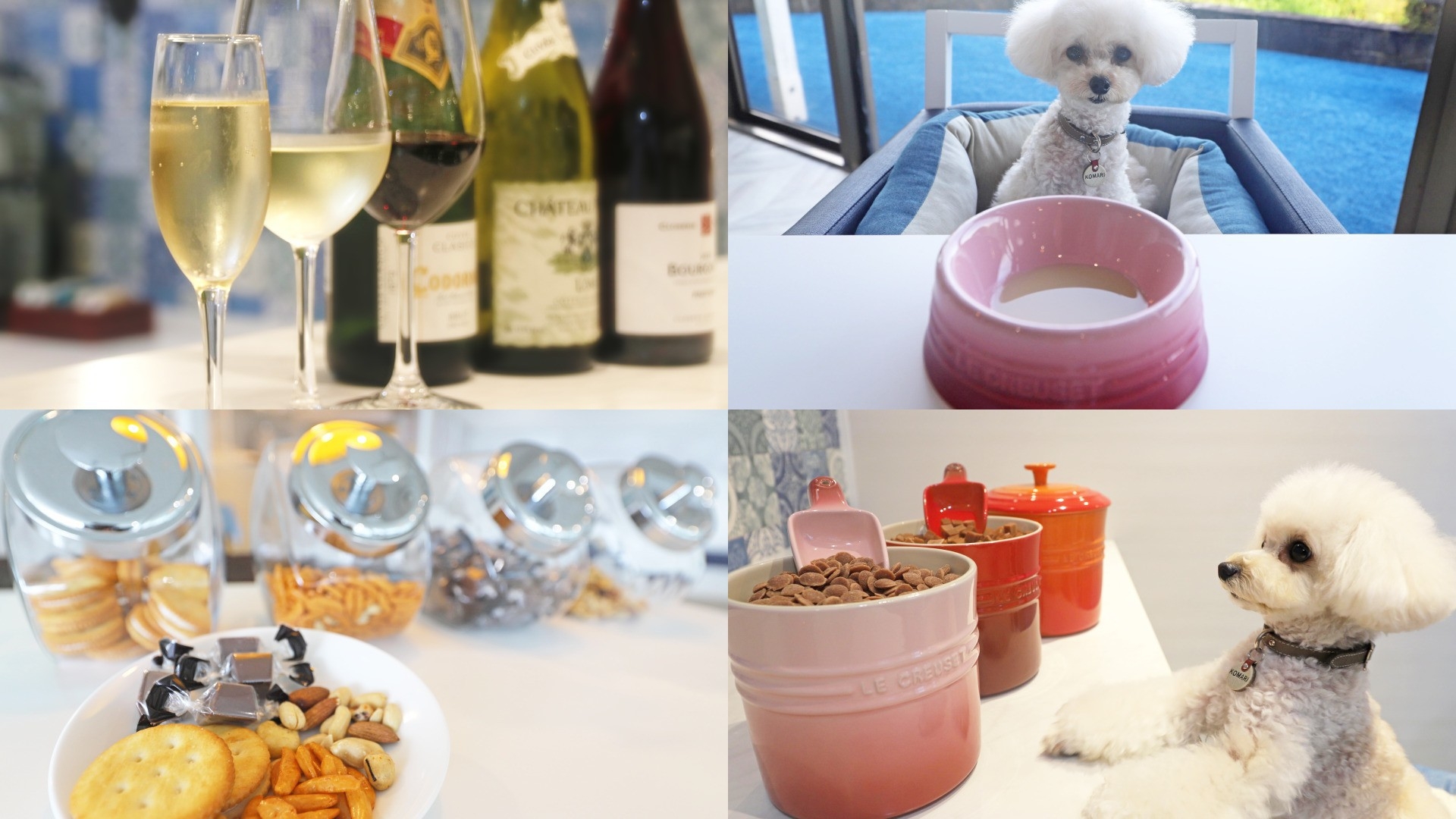 【リブランド1周年特別プラン】プレミアムフレンチ＋飲み放題等オールインクルーシブ 【ペット可】
