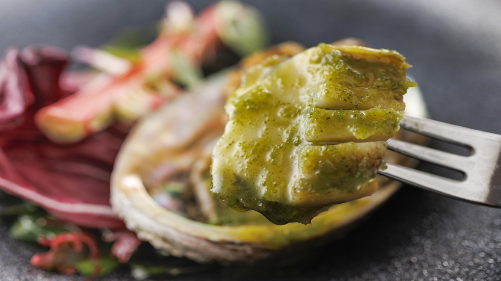 【プレミアムフレンチ】オールインクルーシブ♪初めてのわんちゃんとの旅行に！記念ケーキプレゼント