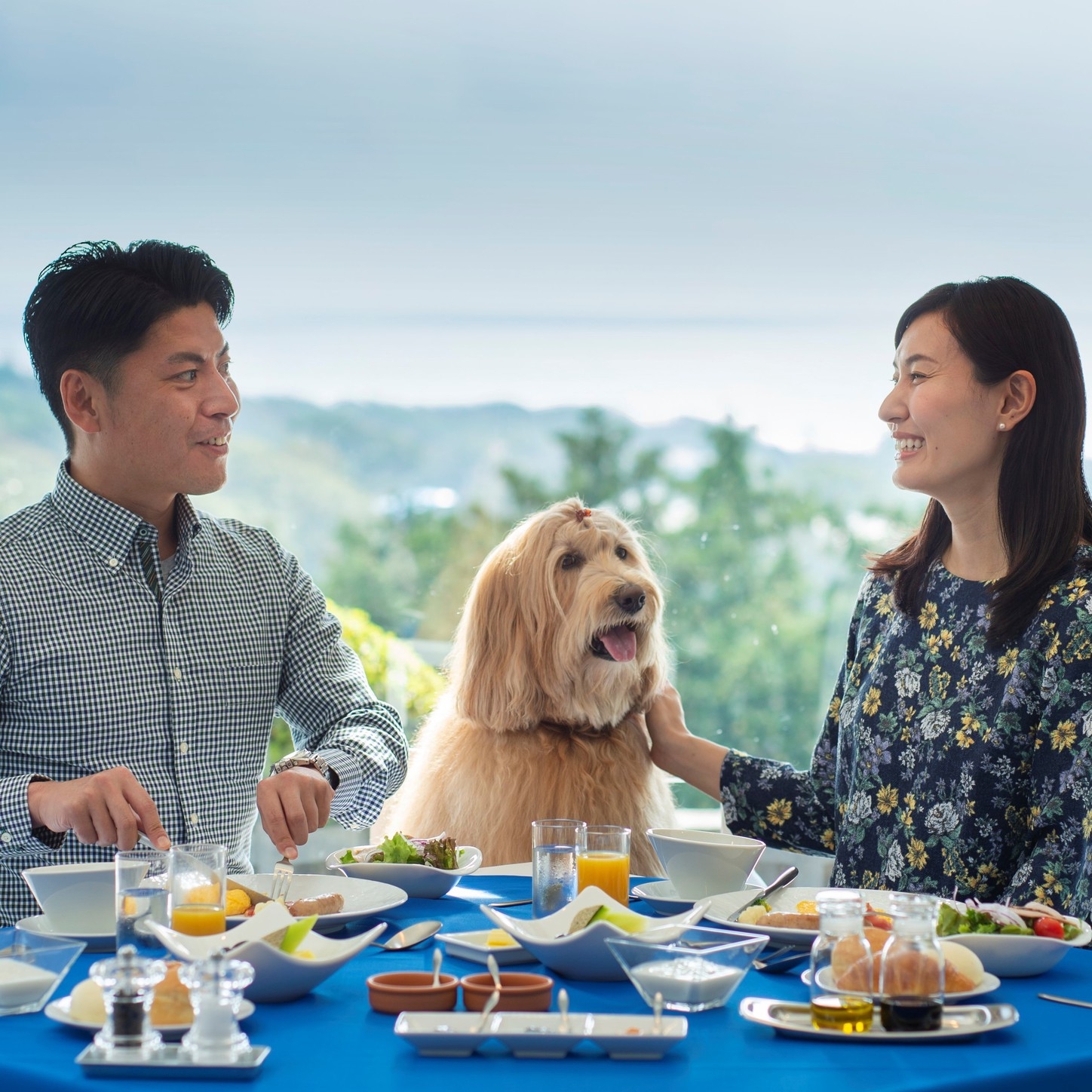 【記念日プラン・プレミアムフレンチ】愛犬用ケーキ付♪飲み放題等オールインクルーシブ【ペット可】