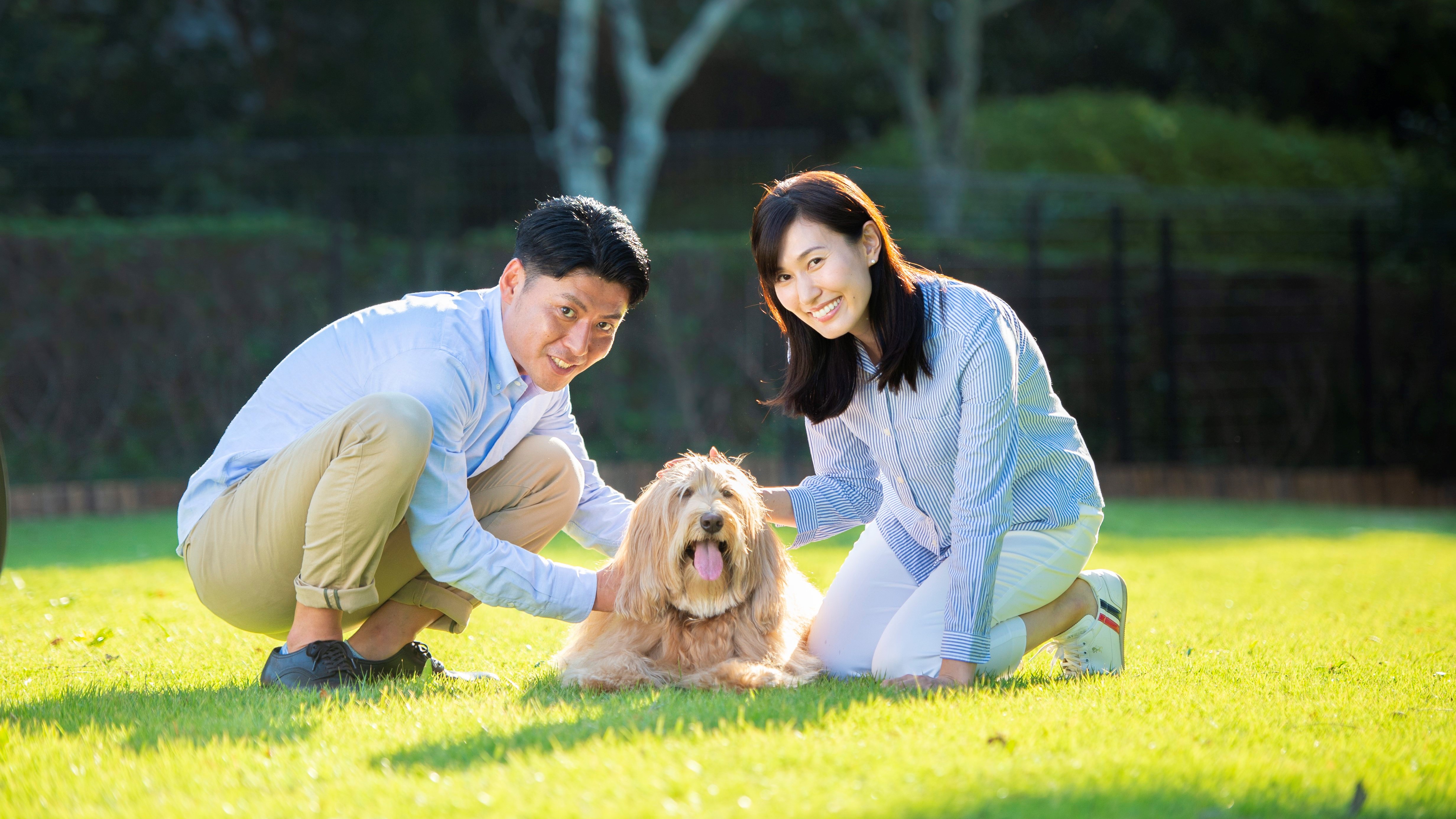 愛犬とのコミュニケーションをお楽しみください。