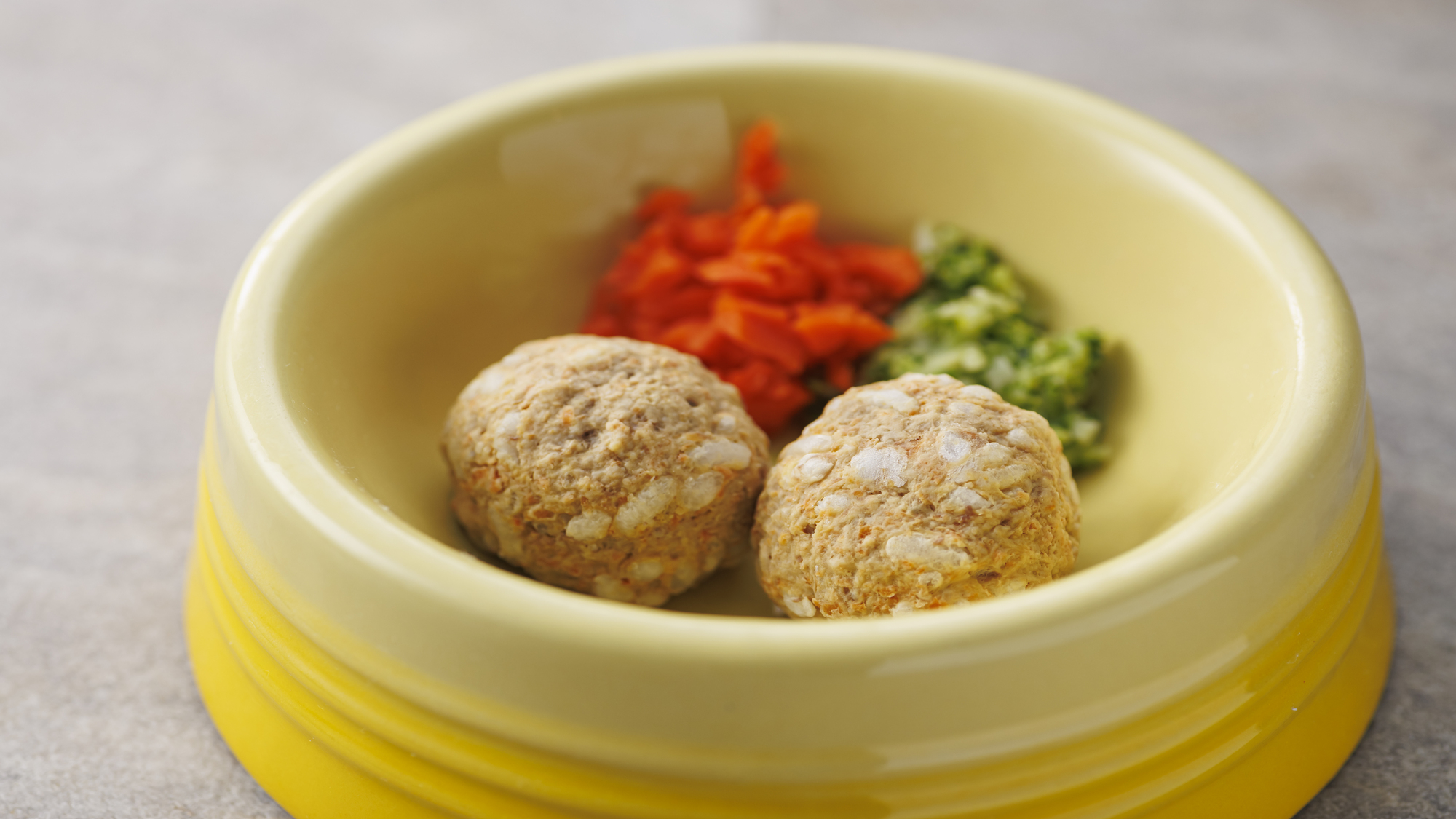 愛犬用食事イメージ/ラムミートボール