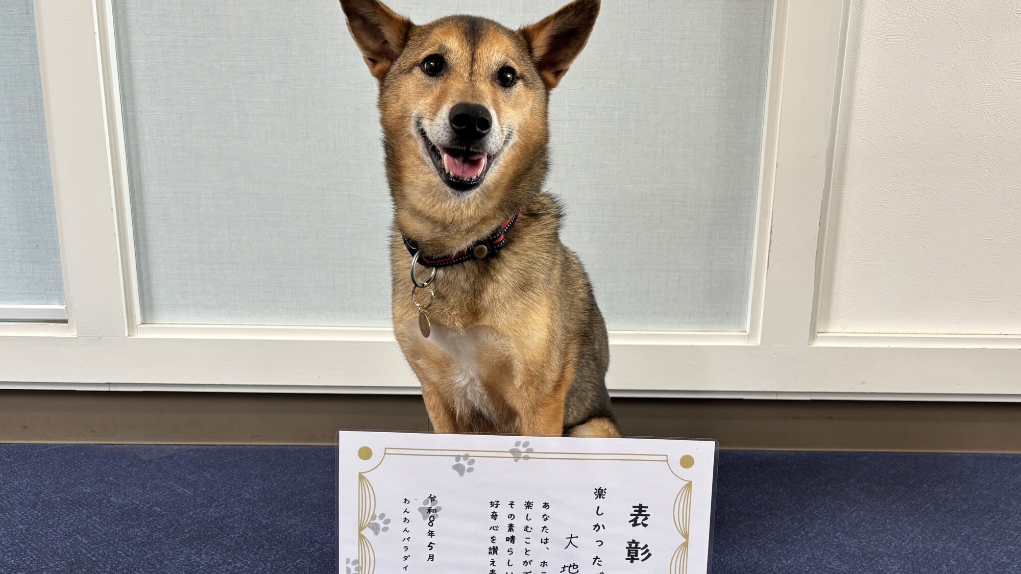 【愛犬肉球スタンプグッズ作成】愛犬の肉球でオリジナルグッズが作れます！