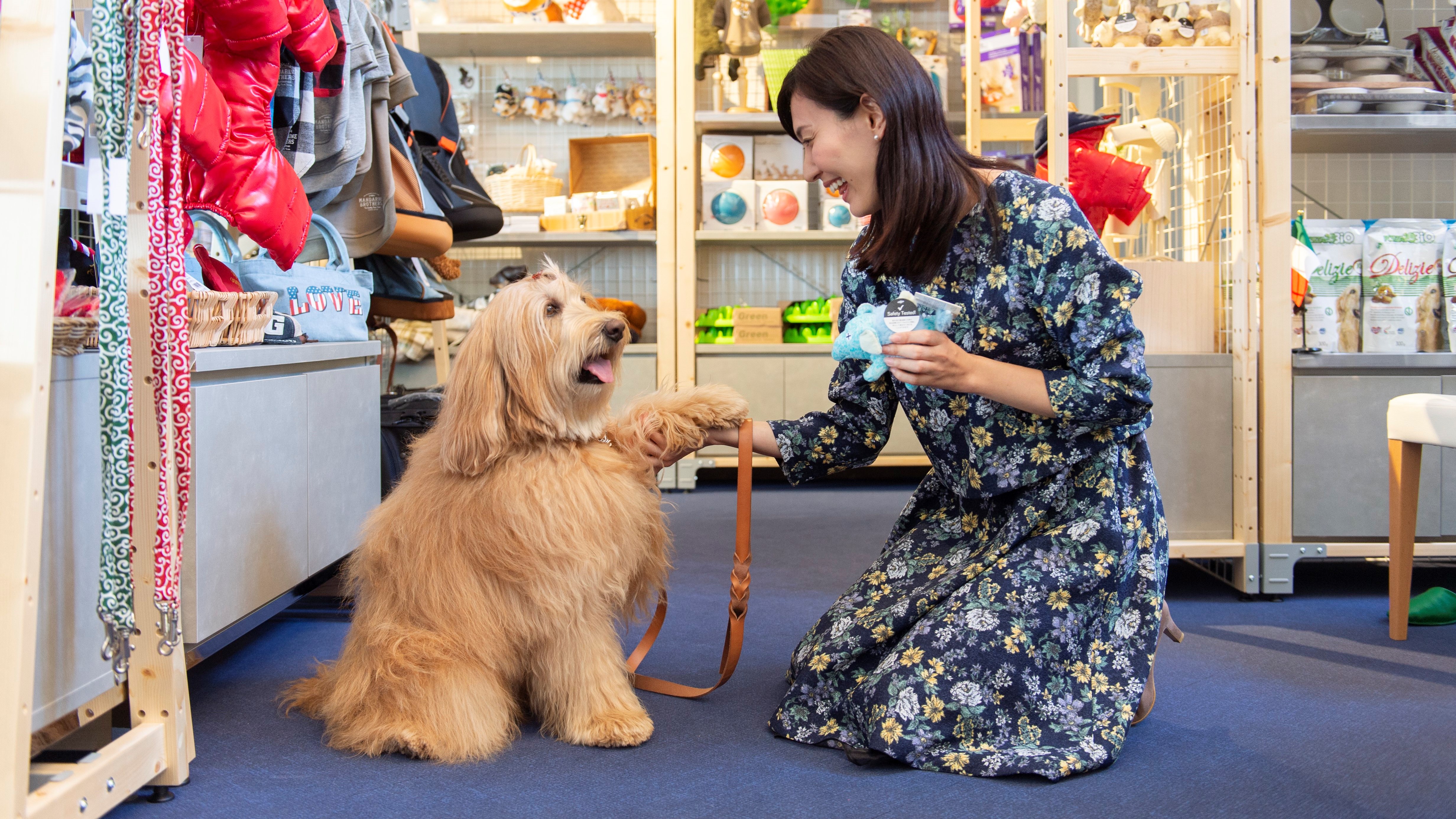 愛犬グッズはプロ監修！豊富な品揃えが自慢です。