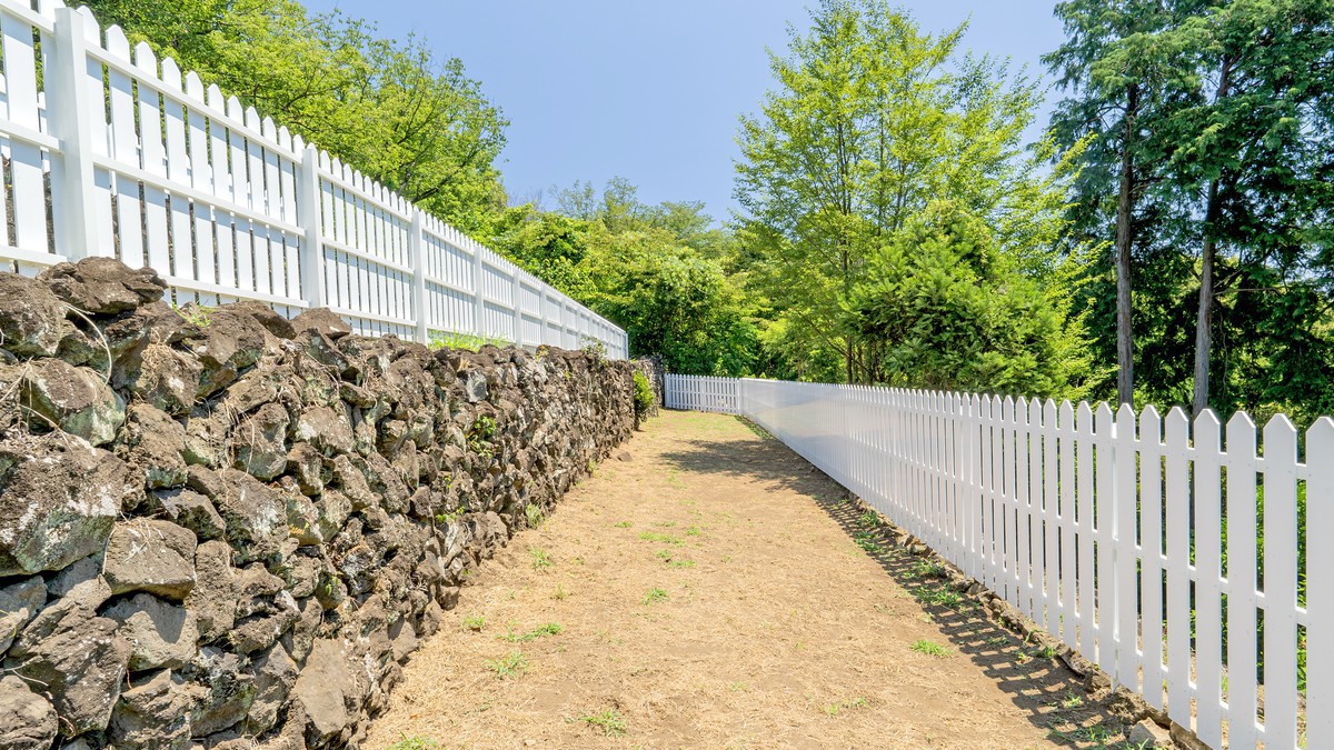 dog park  暁日・犬種フリーエリア