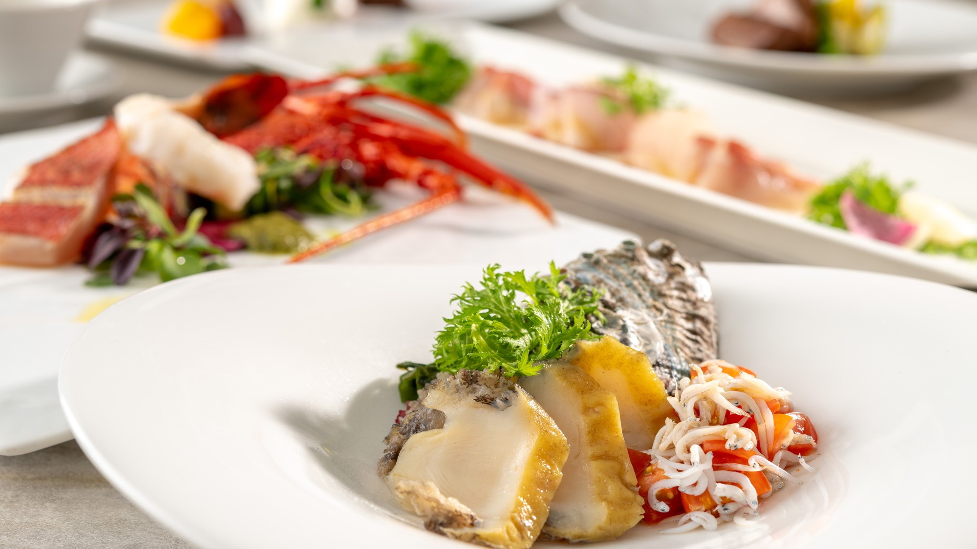 【ご夕食イメージ】プレミアムコース