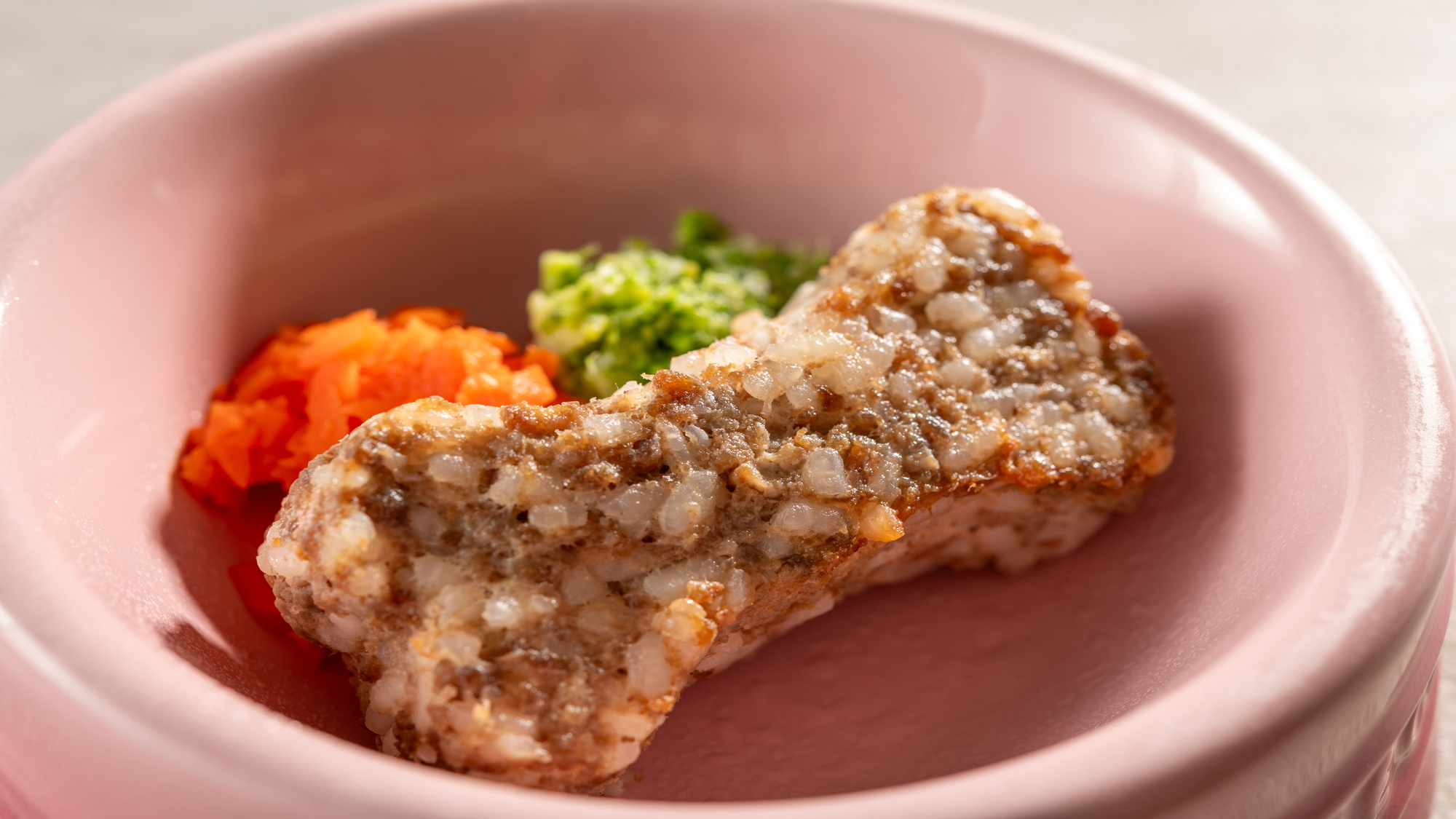  愛犬用食事イメージ/わんバーグ