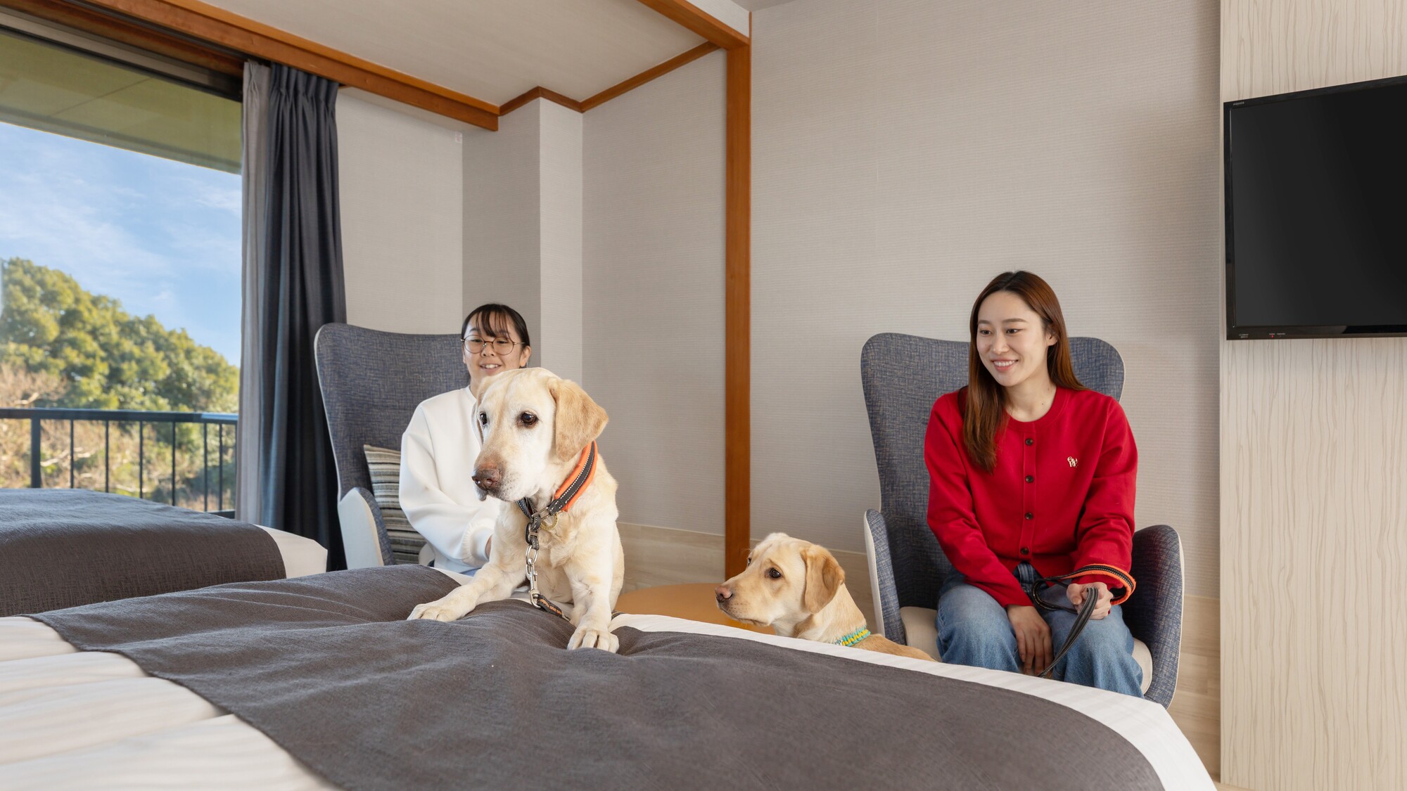愛犬と一緒にお部屋で贅沢なひとときを
