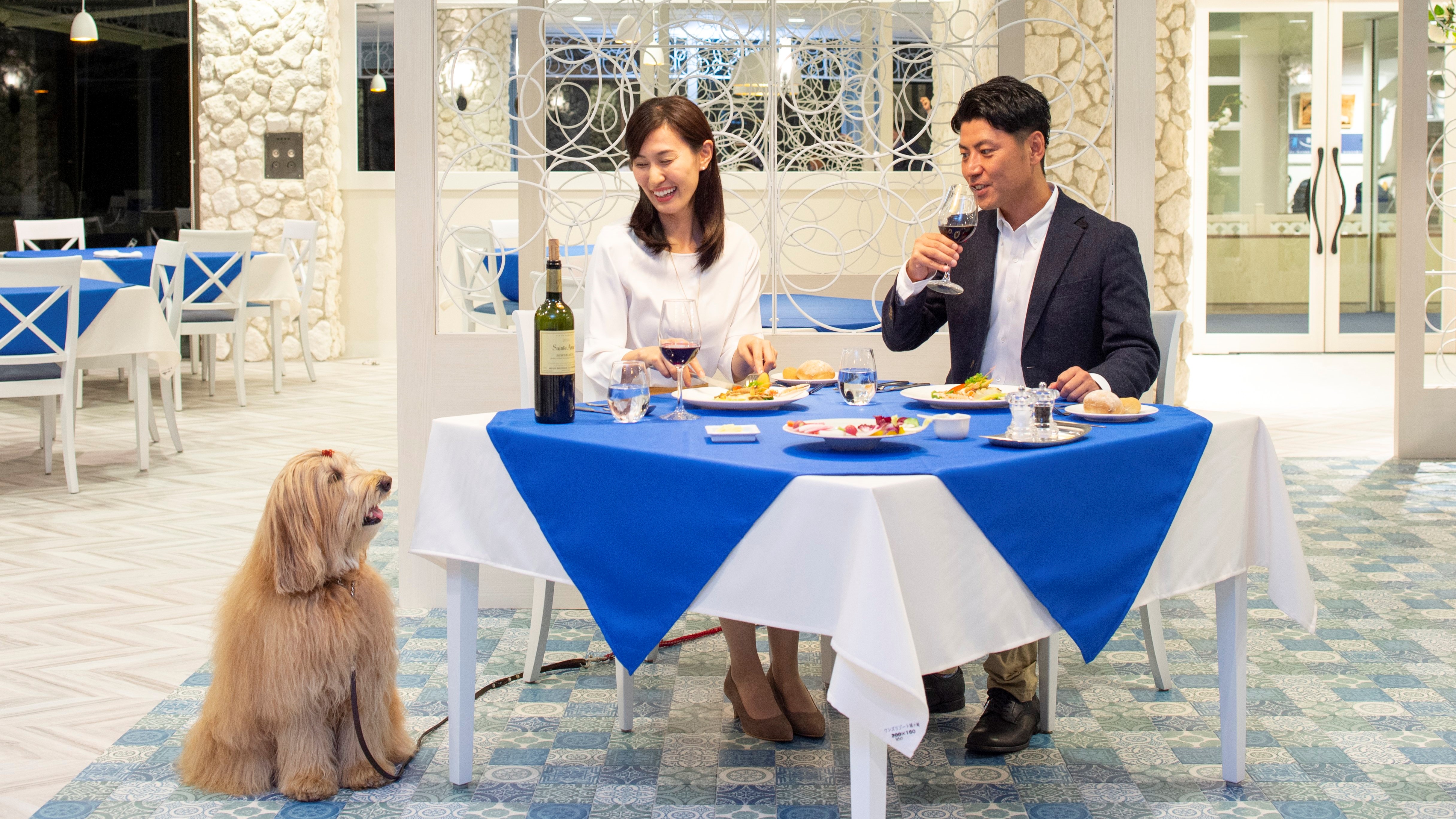 愛犬と充実のディナーをお楽しみください