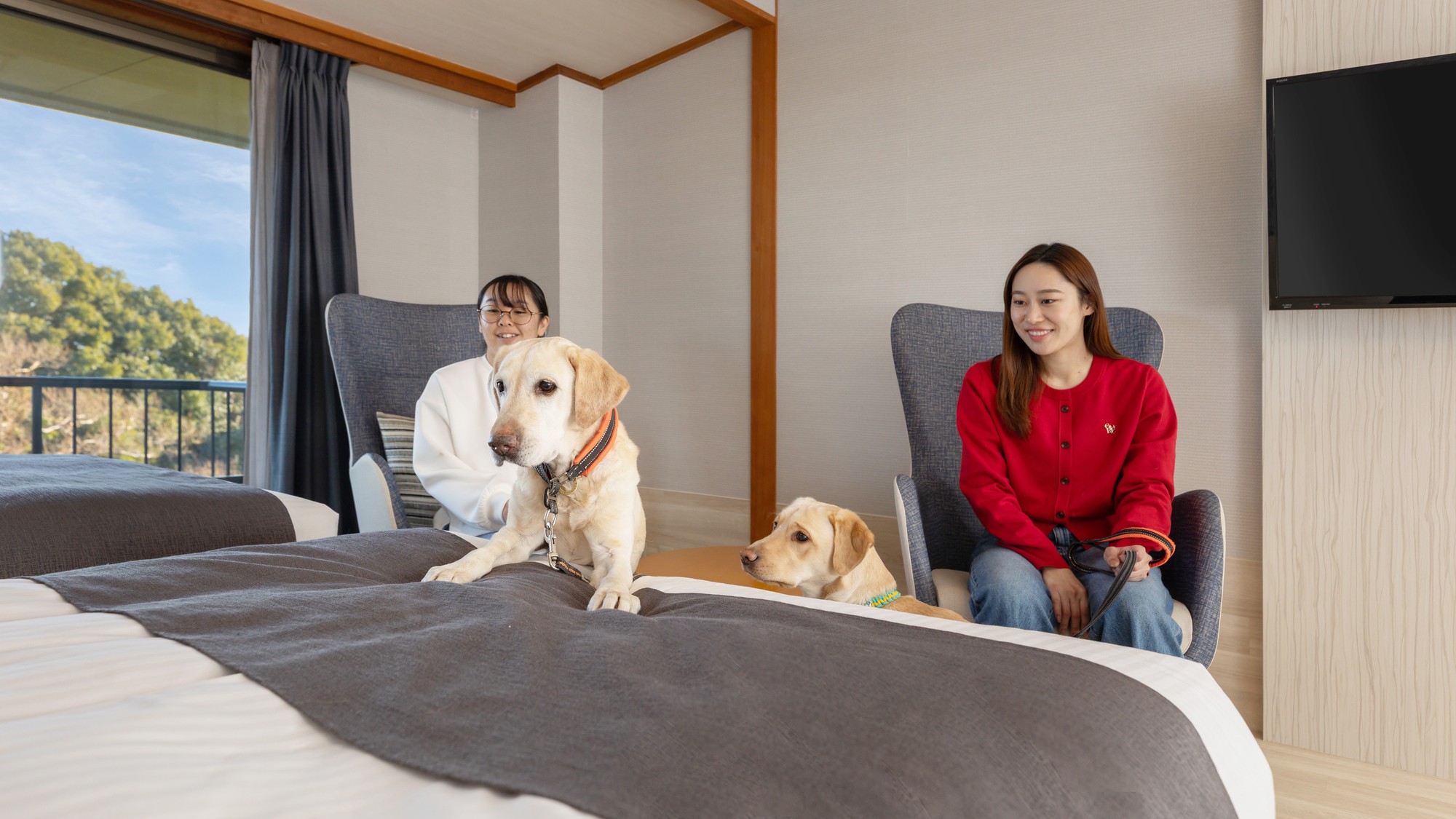 愛犬と一緒にお部屋で贅沢なひとときを