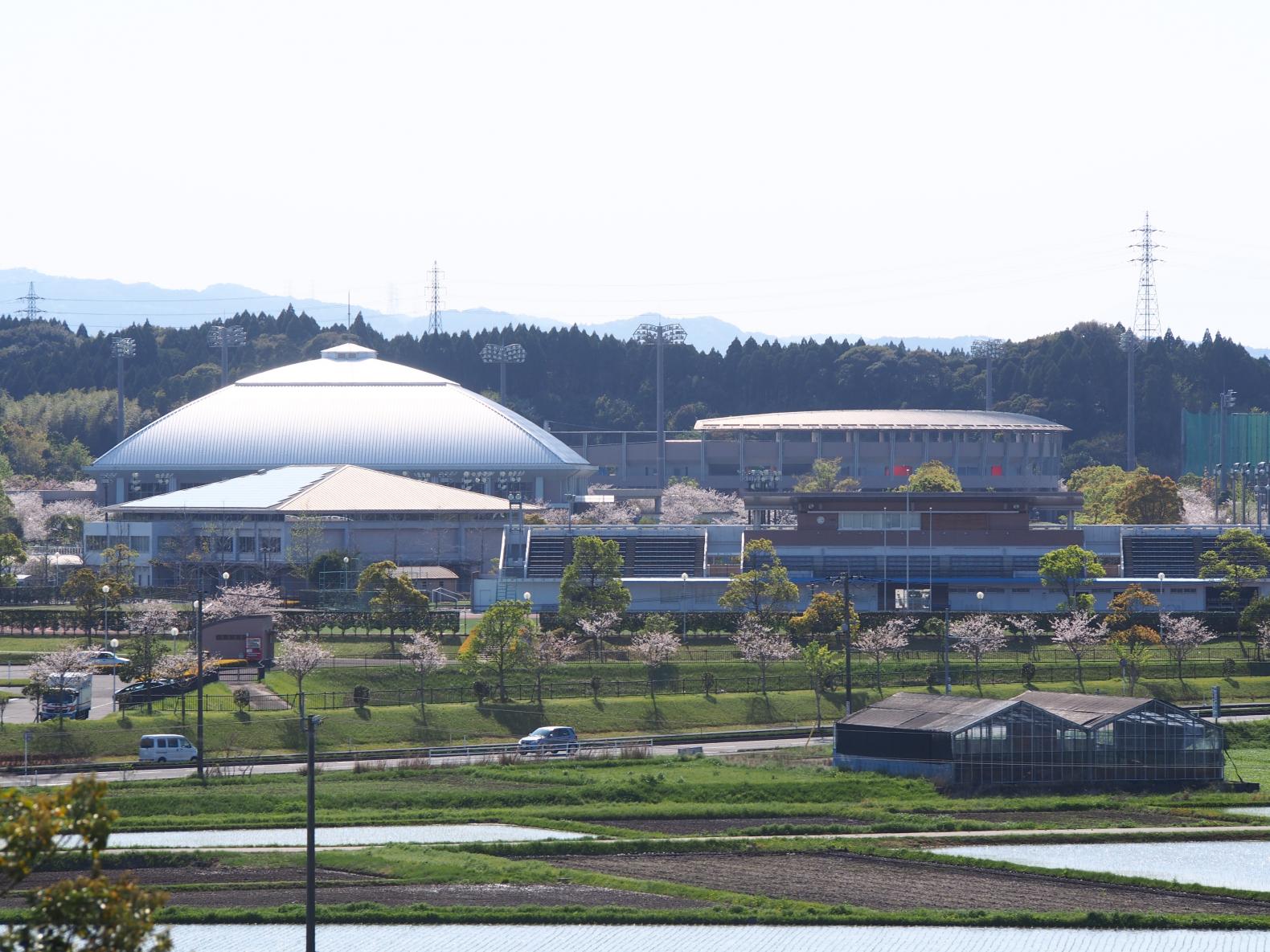 生目の杜運動公園