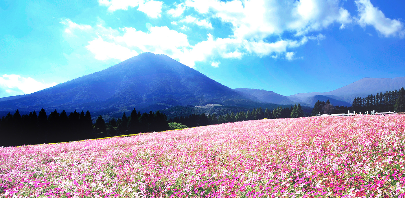 生駒高原