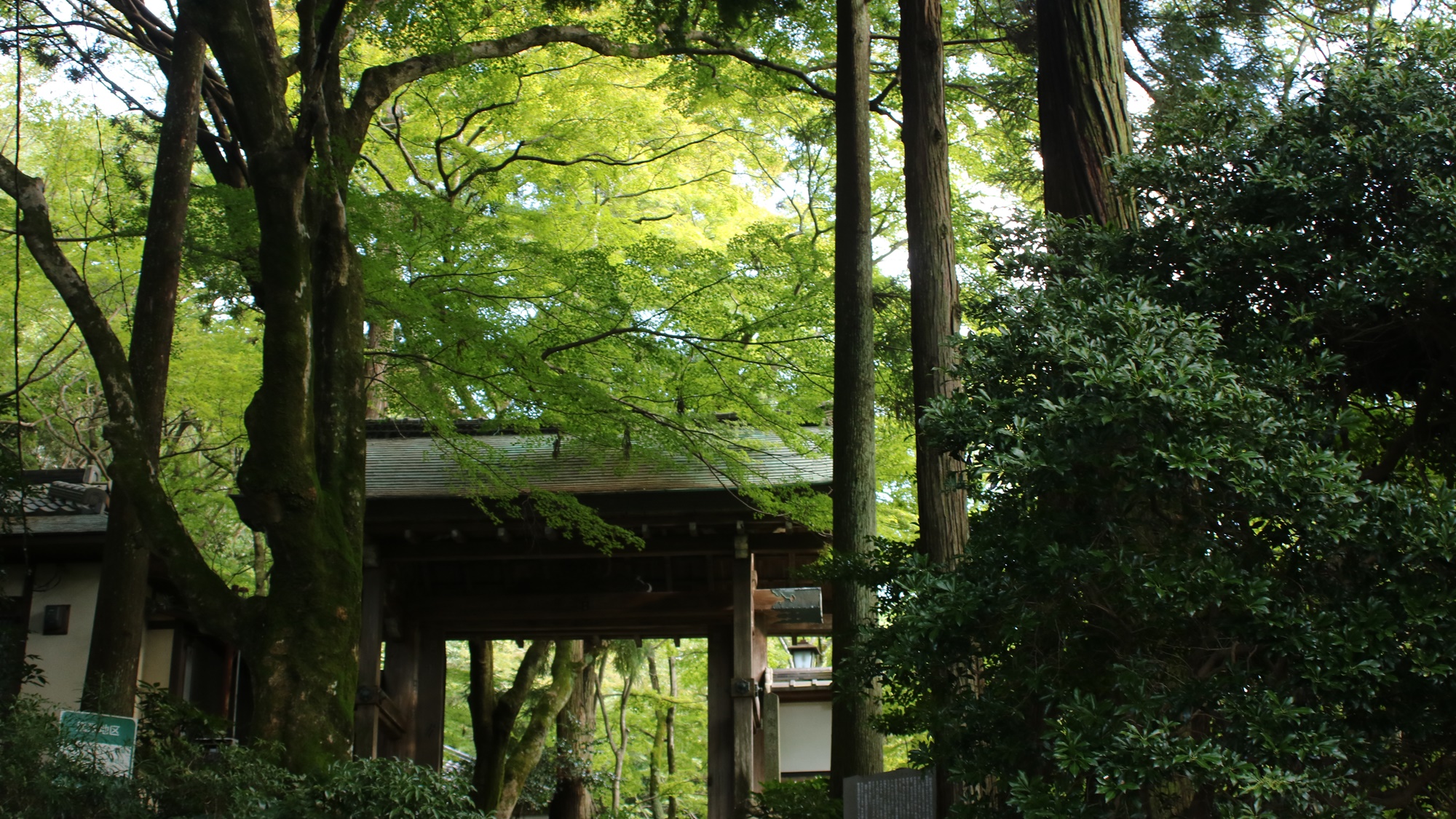 *【瑞宝寺公園】関西でも有名な紅葉の名所です。