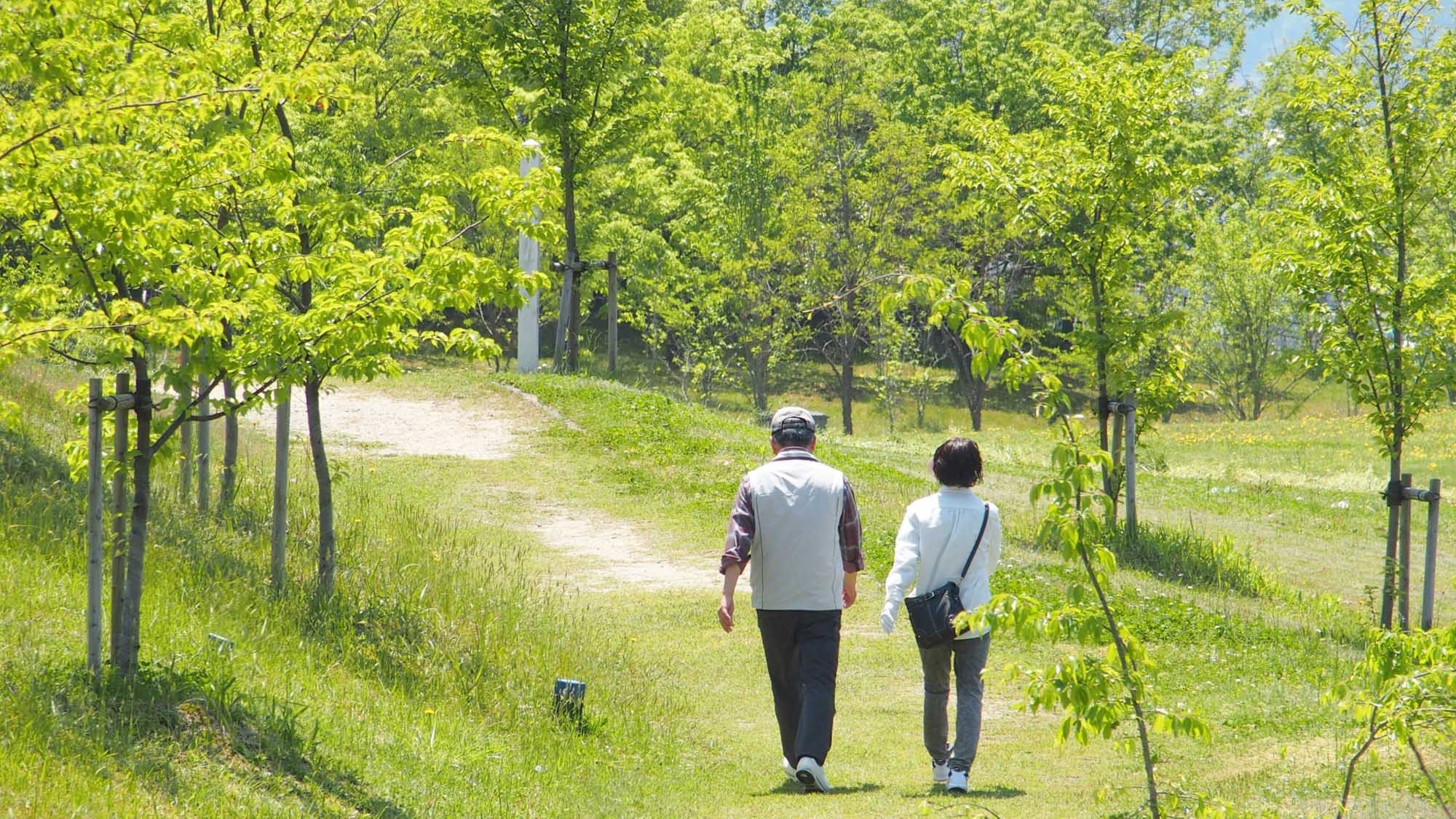 【50歳以上】お得に豊前海の味覚を堪能【3大特典付き】