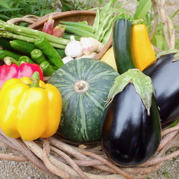 【１泊２食】鳥取・三朝の田舎料理と温泉を満喫するプラン