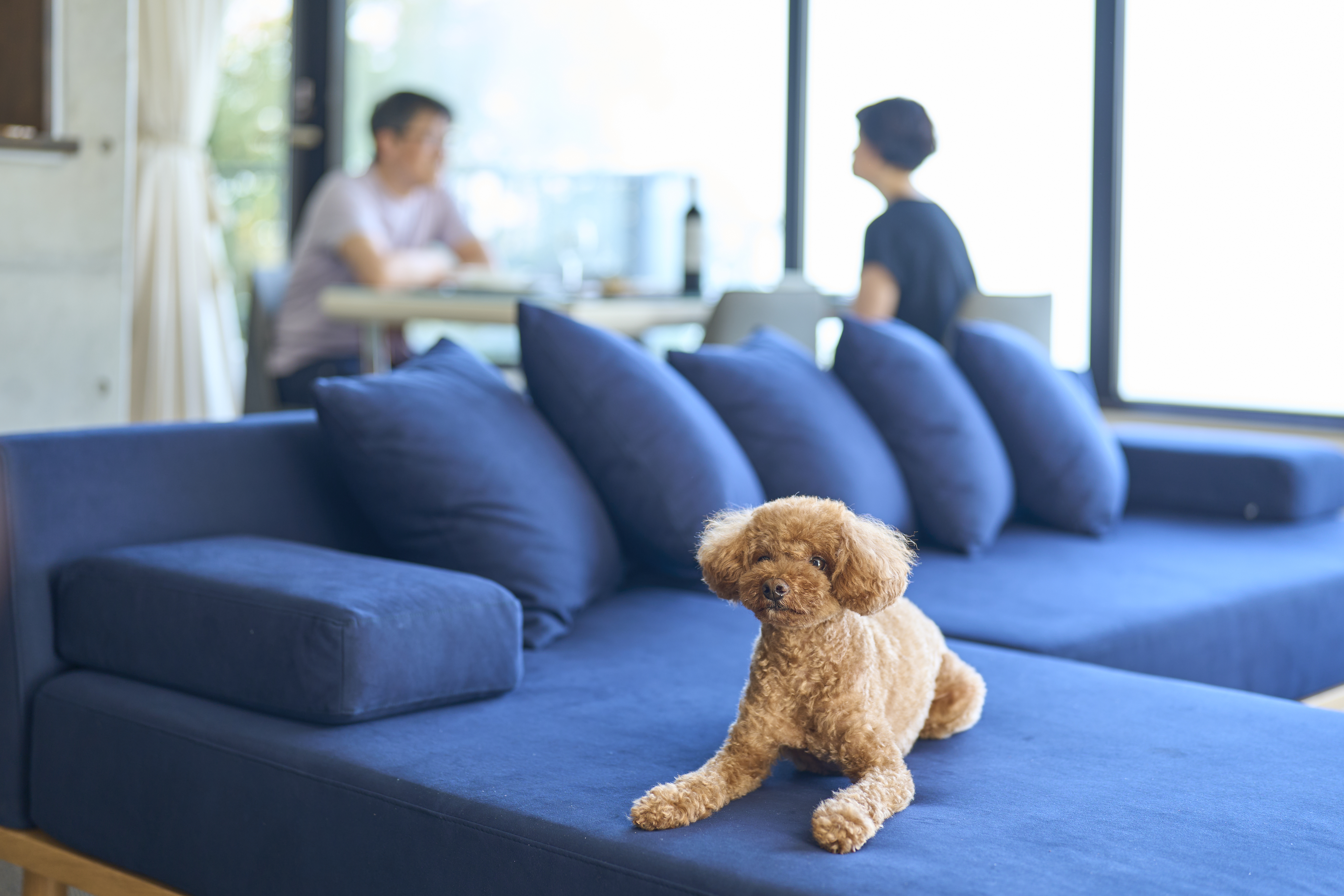 下階A ペット可