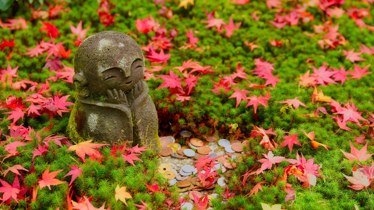 紅葉　イメージ