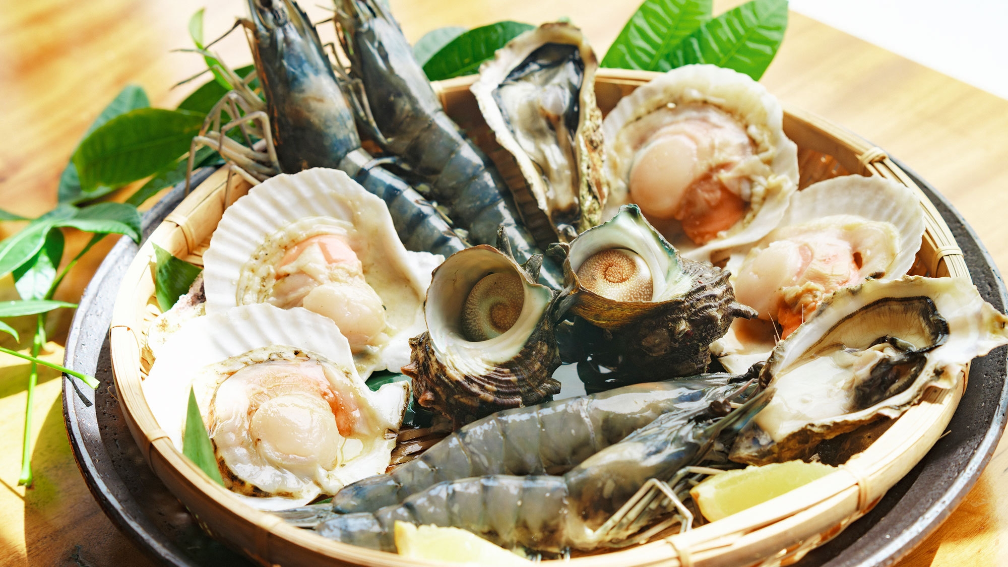 【BBQ／海鮮セット】天草ならでは！新鮮な海の幸をバーベキューで楽しむ♪お持込みも無料でOK！