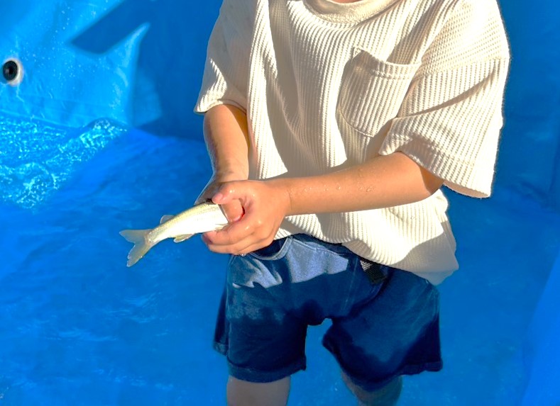 お魚つかみどり
