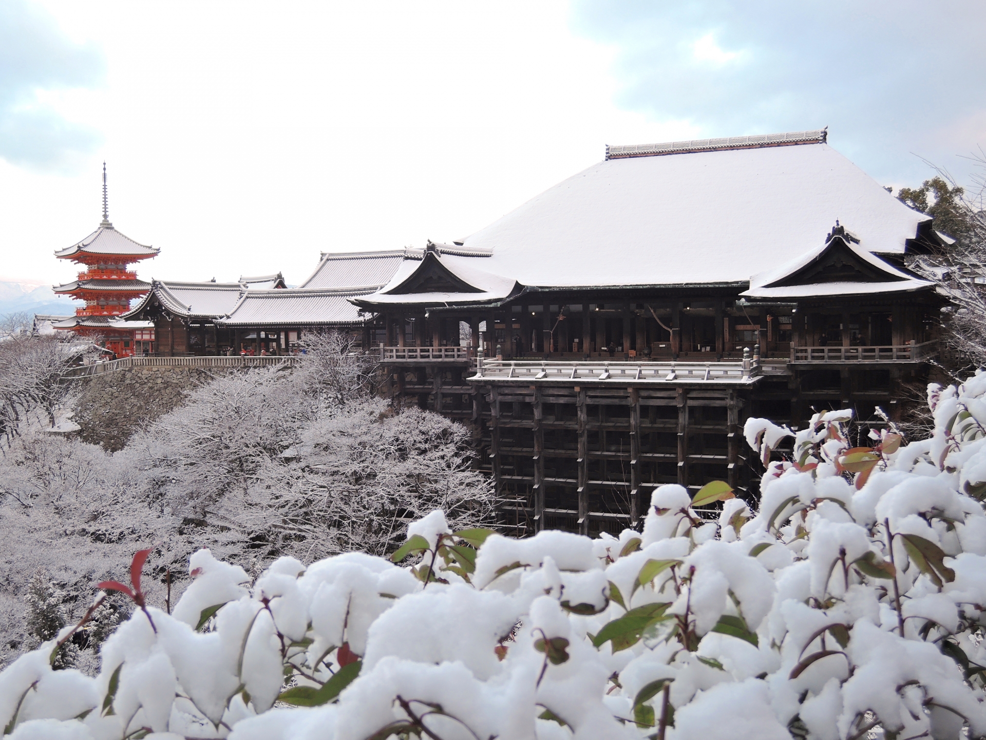 京都冬景色／清水寺