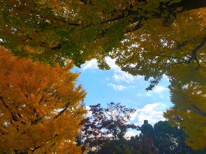 秋の東京の様子