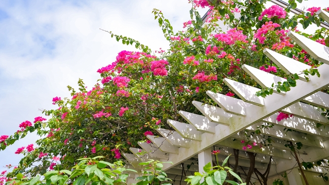 【さき楽60×連泊】60日以上前から連泊でご予約のお客様におすすめ！＜朝食付き＞