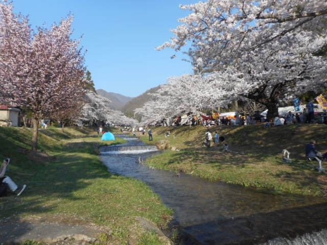 咲き誇る会津里山の花を愛でるエコノミープラン！！（素泊まりです）