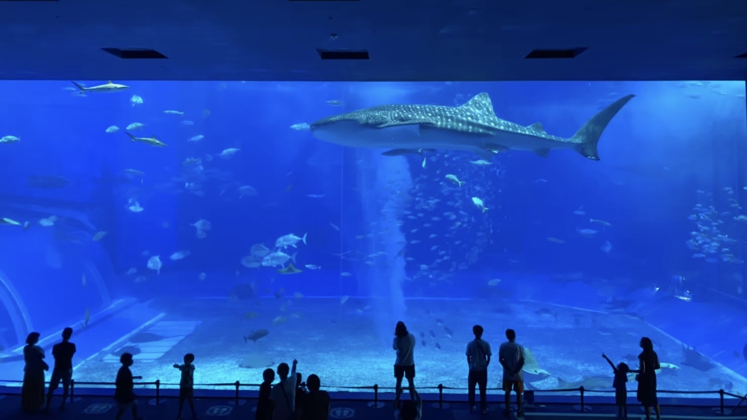 美ら海水族館