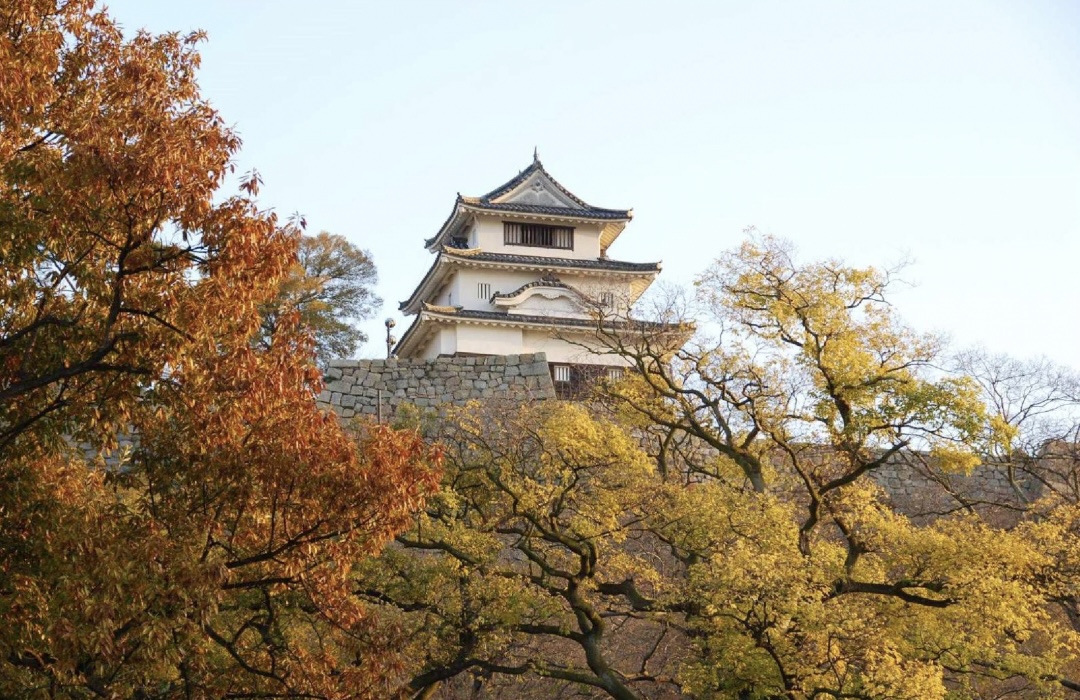 「丸亀城」