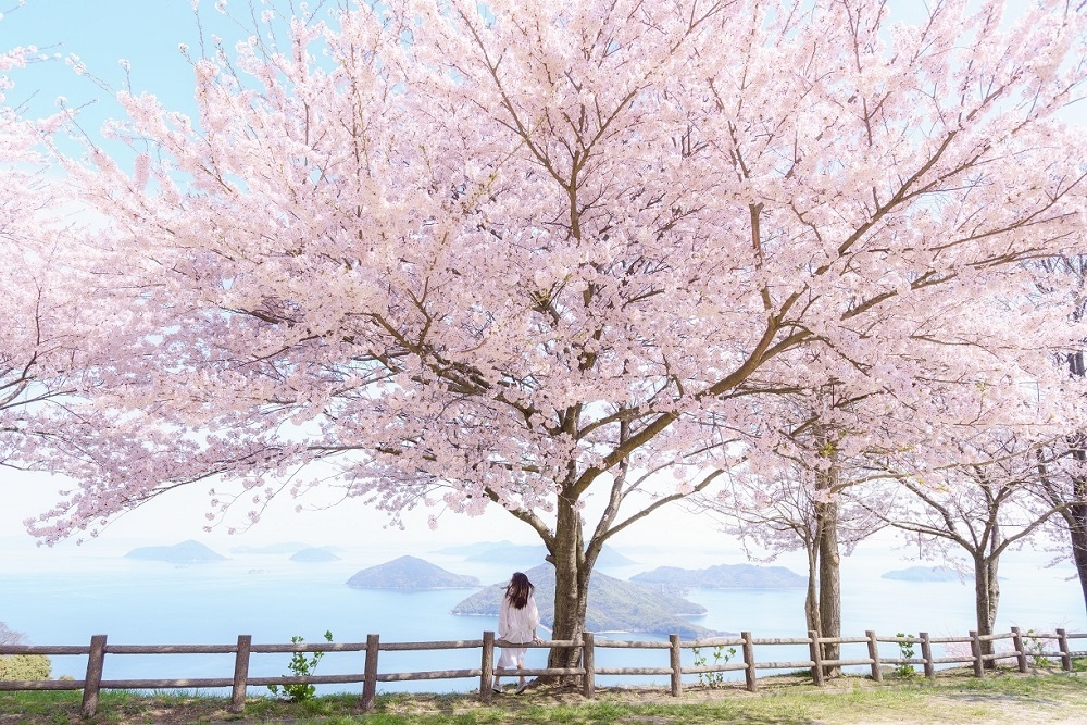 「紫雲出山」