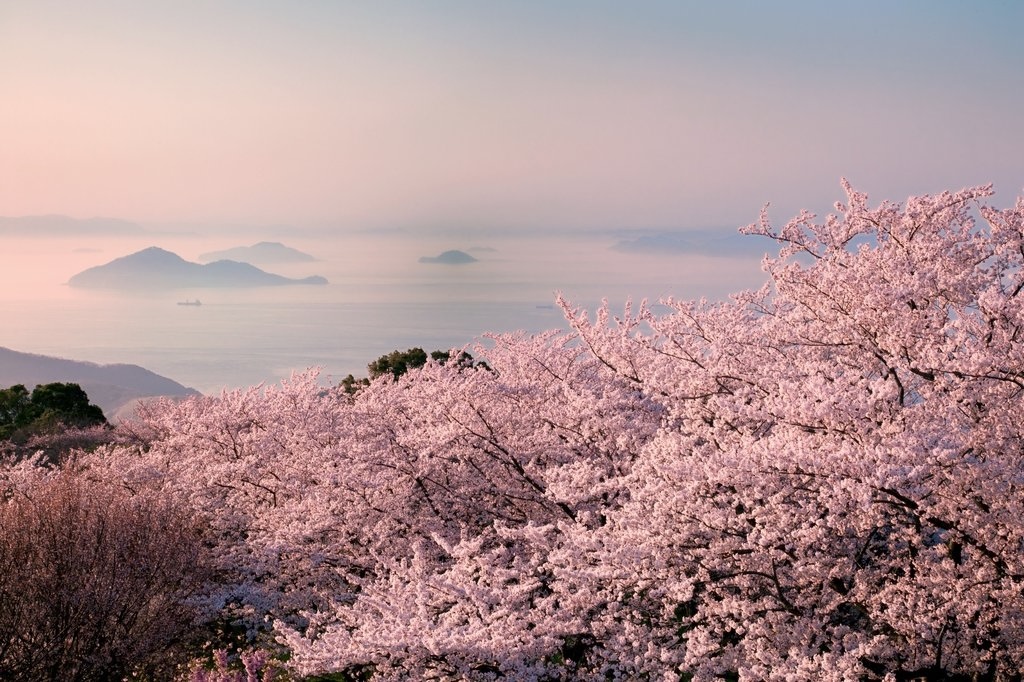 「紫雲出山」