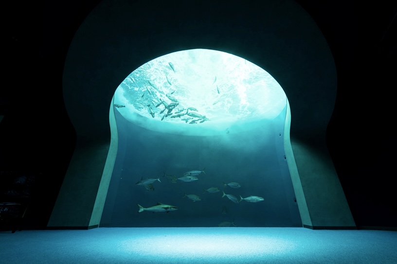 「四国水族館」