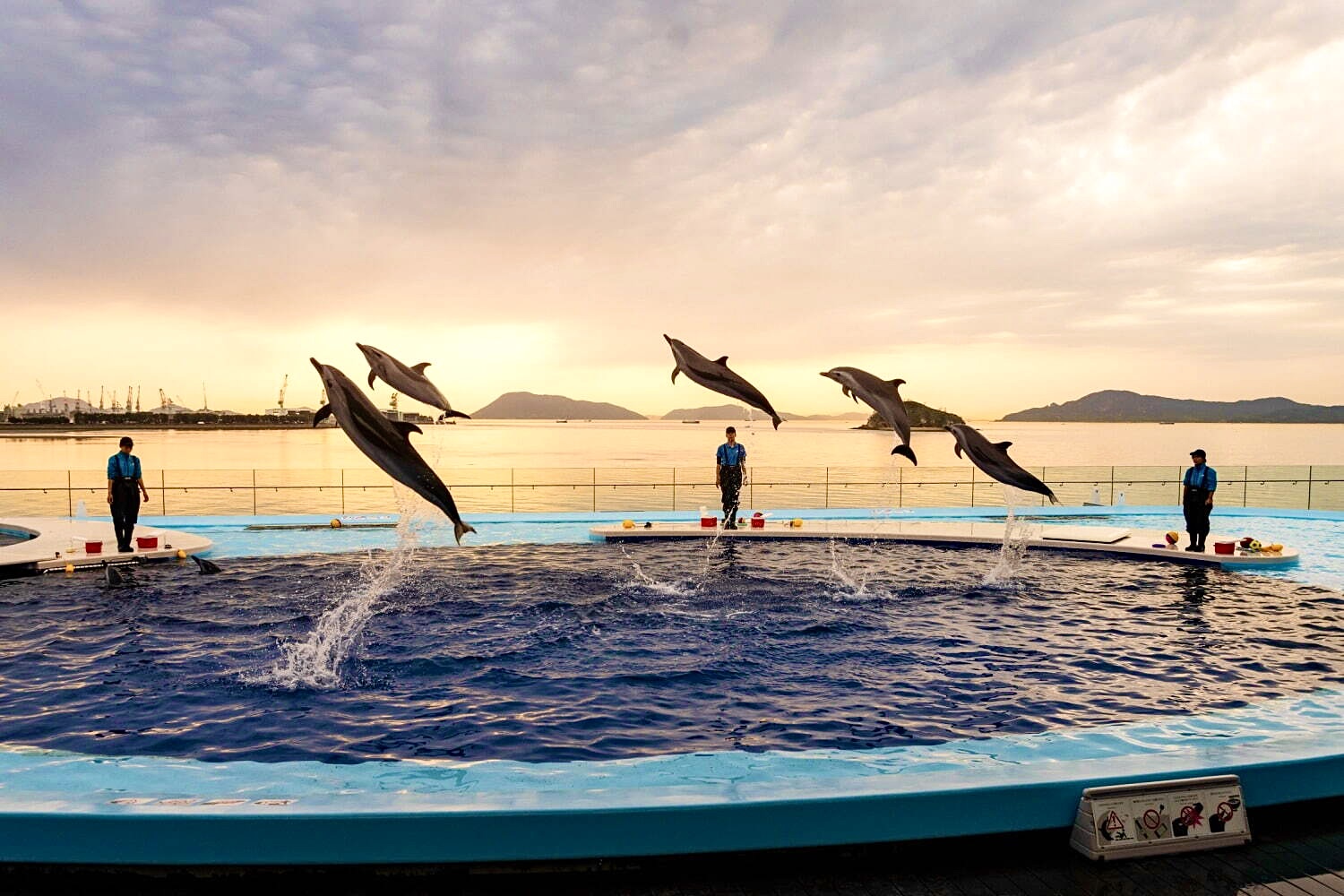 「四国水族館」