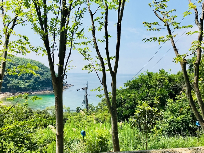 小路からの海の眺め