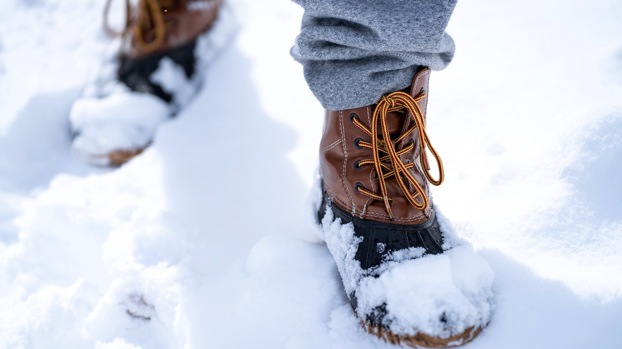 【冬季限定】雪上でバナナボート・スノーチューブアクティビティを体感！【1泊2食付】