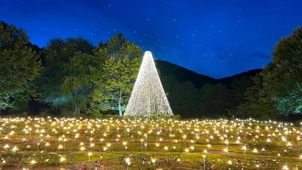 会場はすぐそば♪やくらいガーデン星あかりイベントへ行こう！アメリカンブレックファースト付【朝食付】