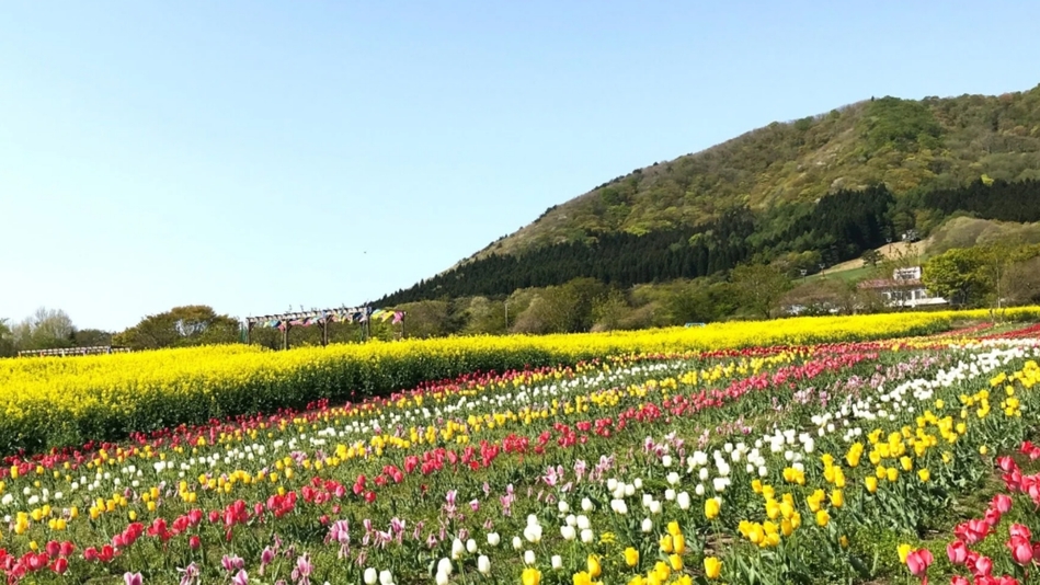 ＜やくらいガーデンチケット付＞イースターフェア開催中☆選べる夕食と温泉入浴券付