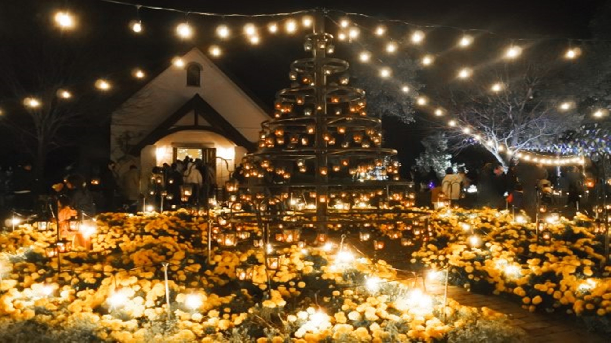 *やくらいガーデン　イベント／星あかりのイメージ