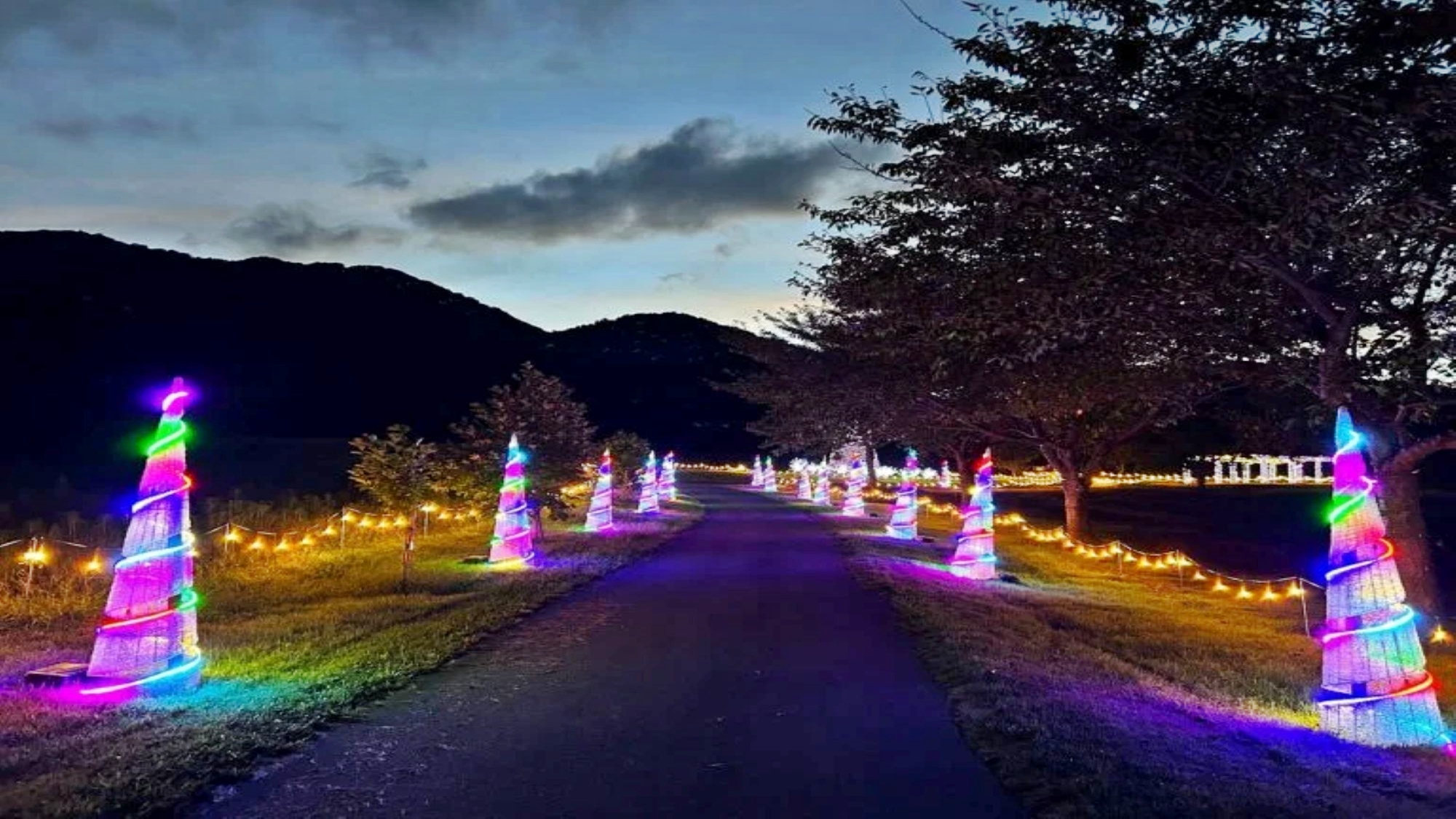 ＊やくらいガーデン/星灯り2025は新たなスポットが誕生！