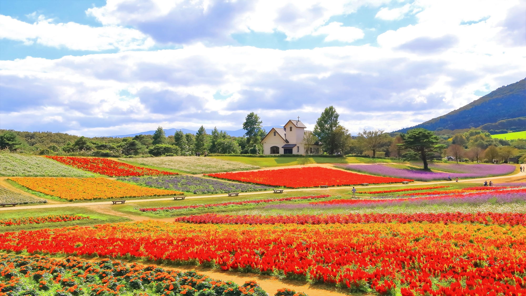 *周辺観光（9～10月）／やくらいガーデンでは四季折々の草花をご覧いただけます