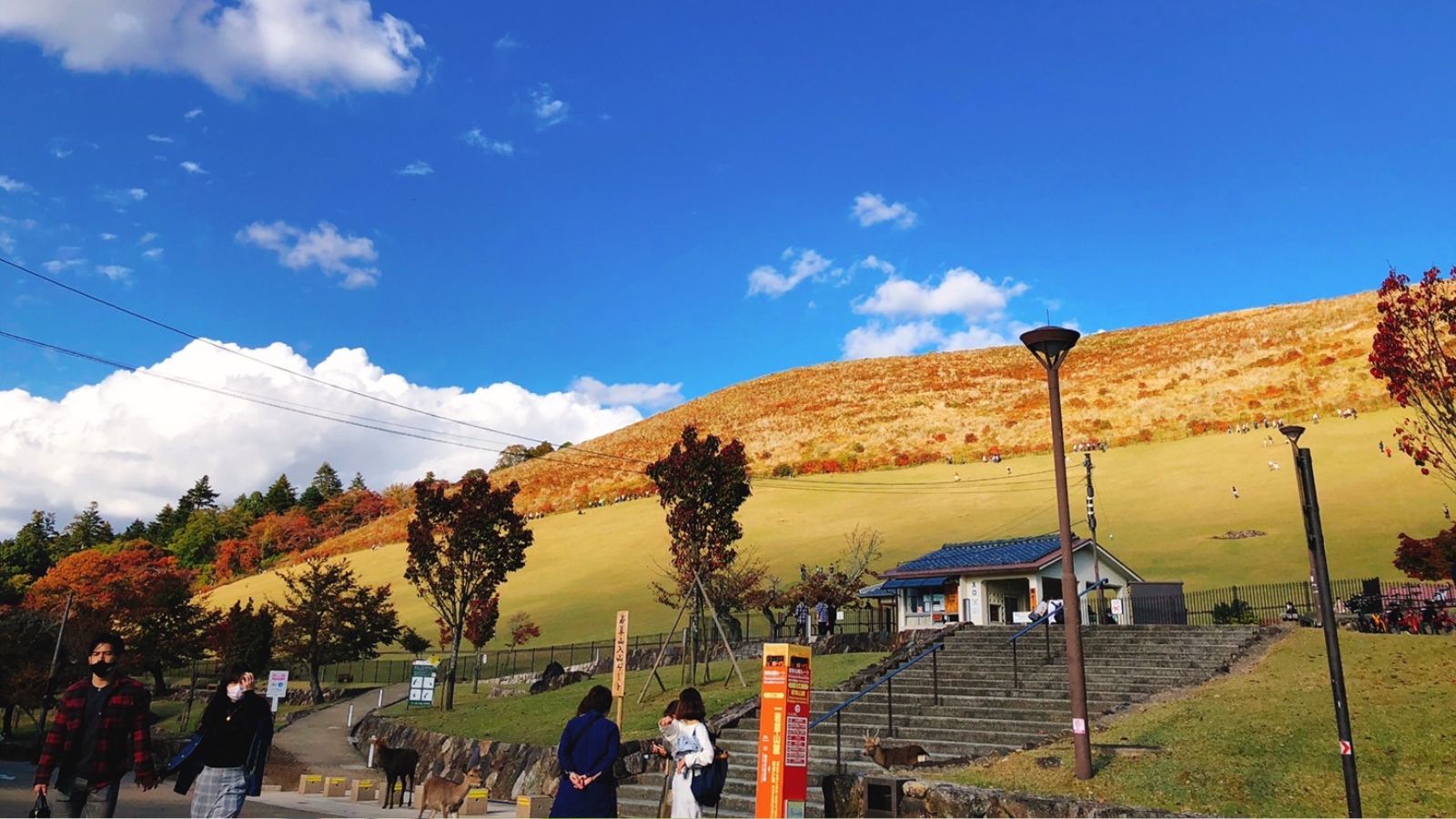 奈良公園内にある若草山。気候のよい秋は散策やハイキングに最適です。