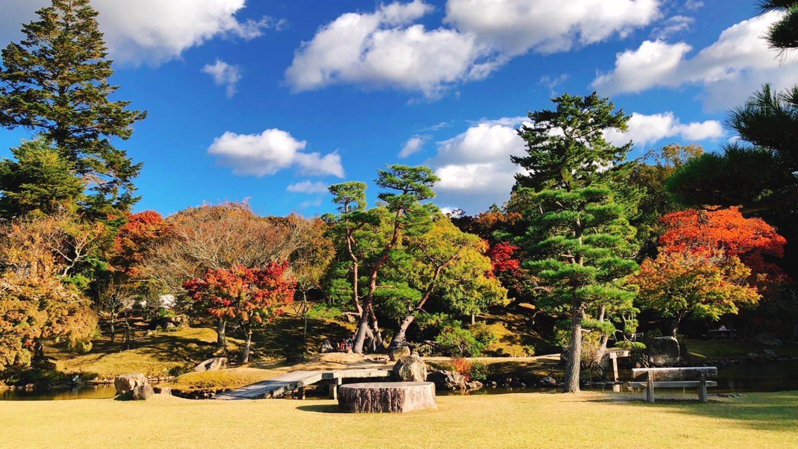 紅葉シーズンは、奈良公園や周辺の寺院を美しく彩ります。