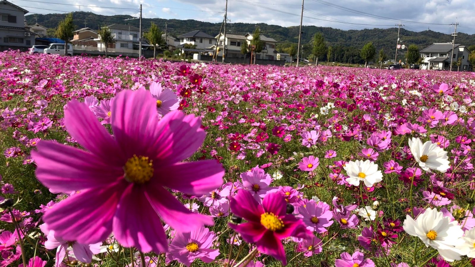 四季折々の自然を感じることが出来ます