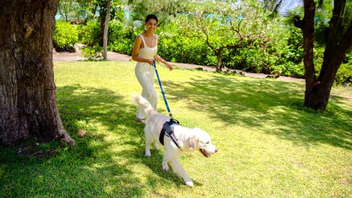 【愛犬同伴プラン/さき楽120】120日前予約早取りプラン/朝食付