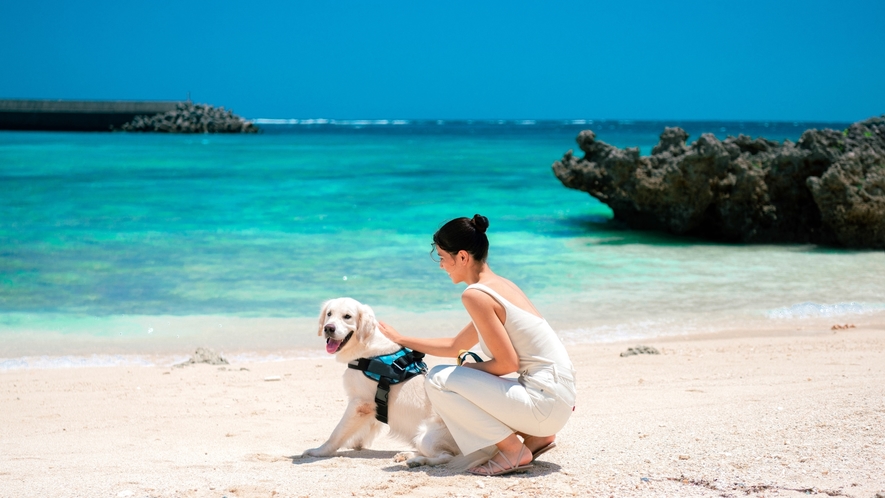 【愛犬と一緒に過ごす】愛犬と宮古島の海を満喫するなら、リゾート内にあるシギラビーチへ。