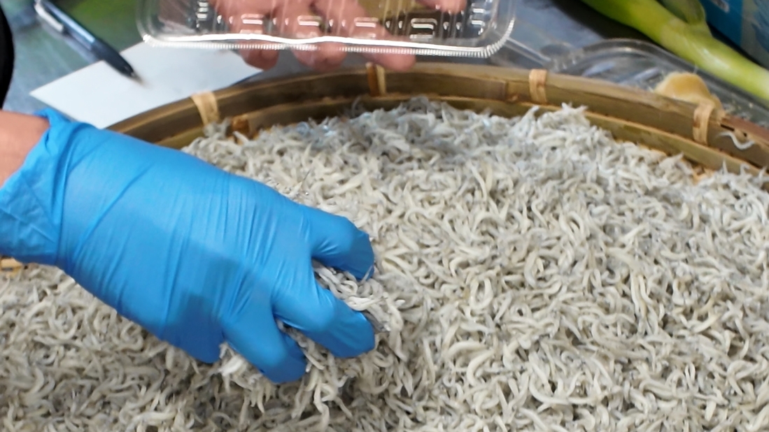 【1泊2食】海満喫・釜揚げシラス盛り放題！アクアマリンふくしま水族館チケット付　海づくしをお楽しみ♪